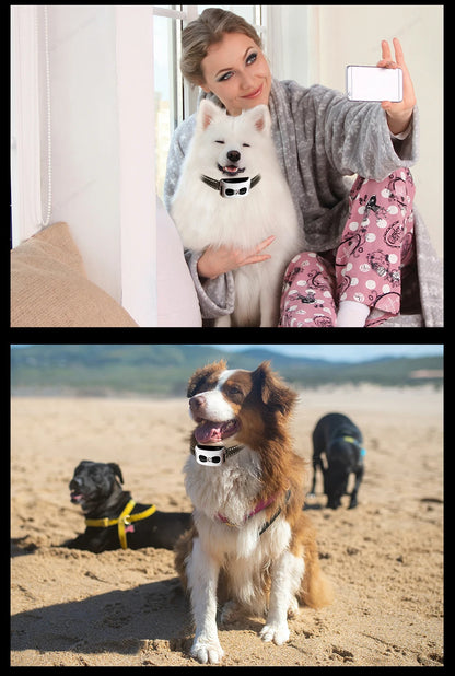 2 In 1 Electric Pet Wireless Fence Dog Training Collar Anti Runaway Up to 3 Dogs Outdoor Pet Containment Rechargeable System