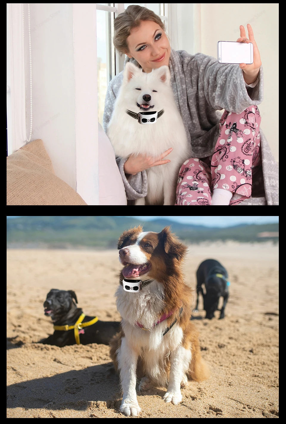 2 In 1 Electric Pet Wireless Fence Dog Training Collar Anti Runaway Up to 3 Dogs Outdoor Pet Containment Rechargeable System